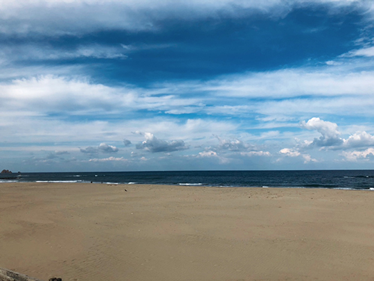 生活雑貨部 バイヤー